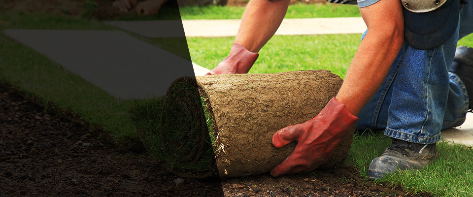 Petoskey Landscapers